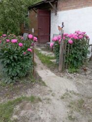 ��������� ������� ��� ���������, � ��������, ³�����, ³������� ���� 2