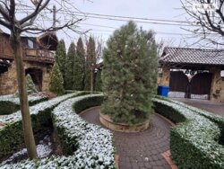 Продається будинок 2-й пров. Мирослава Скорика, Вінниця, Вінницька, Старе місто фото 3 Продається будинок 2-й пров. Мирослава Скорика, Вінниця, Вінницька, Старе місто фото 3