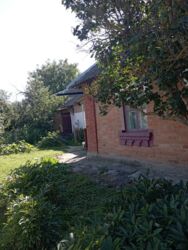 ��������� ������� ��� ���������, � ��������, ³�����, ³������� ���� 5