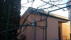 ��������� ������� ³�����, ³�������, �������� ���� 4