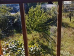 Продається будинок Петрик рибаче, Вінниця, Вінницька фото 4 Продається будинок Петрик рибаче, Вінниця, Вінницька фото 4