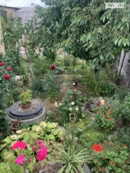 Продається будинок Вінниця, Вінницька, Бучми фото 4 Продається будинок Вінниця, Вінницька, Бучми фото 4