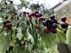 ��������� ������� ���. ������������, ³�����, ³�������, �������� ���� 3