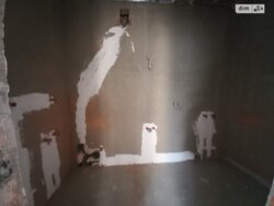 Продається будинок вул. Мирна, Зарванці, Вінницький, Вінницька фото 14 Продається будинок вул. Мирна, Зарванці, Вінницький, Вінницька фото 14