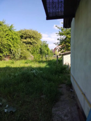 ��������� ������� �������, ³�����, ³�������, ����� ���� 7