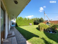 ��������� ������� 1-� ����. ���������� ����, ³�����, ³�������, ���������� ���� 12