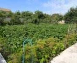 ��������� ������� ³�����, ³�������, ������� ���� 5