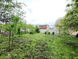 ��������� ������� �������������, ³�����, ³������� ���� 10