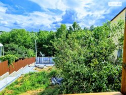 ��������� ������� ���. ��� ������, ³�����, ³�������, ϒ�������� ���� 17