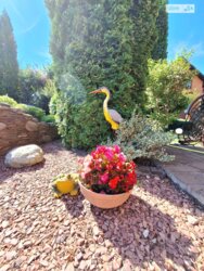 ��������� ������� ���. ����� ѳ���������, ³�����, ³�������, ����� ���� ���� 14