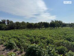 ��������� ������� ³�����, ³������� ���� 11