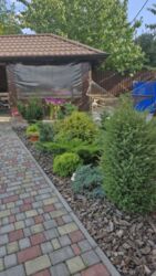 ��������� ������� �� �����, ³�����, ³������� ���� 7