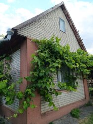 Продається будинок Петрик, мас. Рибаче, Вінниця, Вінницька фото 1 Продається будинок Петрик, мас. Рибаче, Вінниця, Вінницька фото 1