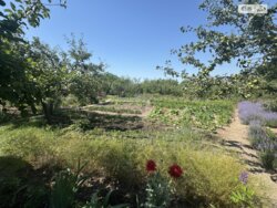 ��������� ������� ������, ���. ������,, ³�����, ³������� ���� 7