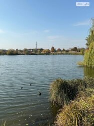 ��������� ������� ���. ��������, ³������ ������, ³��������, ³������� ���� 19