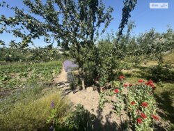 ��������� ������� ������, ���. ������,, ³�����, ³������� ���� 8