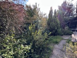 Продається будинок вул. Євгена Чикаленка(Лермонтова), Вінниця, Вінницька, Корея фото 15 Продається будинок вул. Євгена Чикаленка(Лермонтова), Вінниця, Вінницька, Корея фото 15