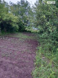 ��������� ������� ���. ������,, ��������, ³��������, ³������� ���� 13