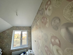 ��������� ������� ���� -�����������, ³��������, ³������� ���� 18