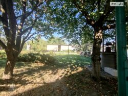 ��������� ������� ³�����, ³������� ���� 5