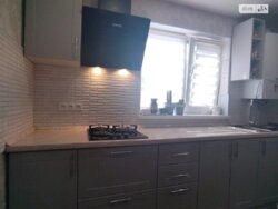 Продається будинок вул. Пирогова, Вінниця, Вінницька, Пирогово фото 16 Продається будинок вул. Пирогова, Вінниця, Вінницька, Пирогово фото 16