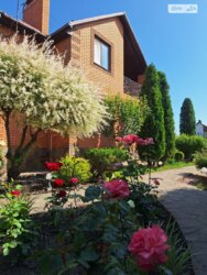 ��������� ������� ���. ����� ѳ���������, ³�����, ³�������, ����� ���� ���� 2