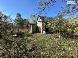 ��������� ������� ���� -�����������, ³��������, ³������� ���� 6