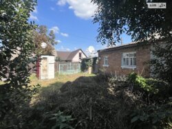 ��������� ������� ����. ������ ���������, ³�����, ³�������, ����� ���� ���� 4