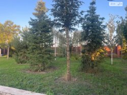 ��������� ������� ����. ������������, ³�����, ³�������, ���������� ���� ���� 4