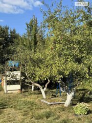 ��������� ������� ������, ���. ������,, ³�����, ³������� ���� 15