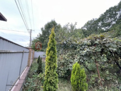 ��������� ������� ³�����, ³�������, ������� ���� ���� 4