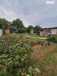 ��������� ������� 2-� ����. ���'�����,, ³�����, ³�������, ������� ���� 13