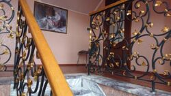 ��������� ������� ���. ������ ��������������, ³�����, ³�������, ����� ���� 20