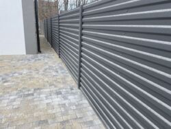 ��������� ������� ³�����, ³�������, ���������� ���� 14