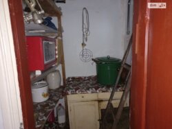 ��������� ������� ���. ˳���������, ³�����, ³�������, ����� ���� ���� 17