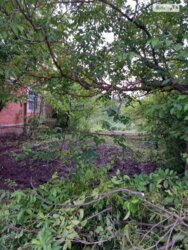 ��������� ������� ���. ������,, ��������, ³��������, ³������� ���� 7