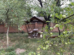 ��������� ������� ³�����, ³�������, ������� ���� ���� 1