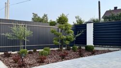 ��������� ������� �� �������, ³�����, ³������� ���� 18