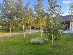 ��������� ������� ����. ������������, ³�����, ³�������, ���������� ���� ���� 6