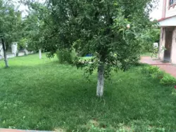 Продаю Дом с Камином Озеро Романков Днепровское шоссе фото 7 Продаю Дом с Камином Озеро Романков Днепровское шоссе фото 7