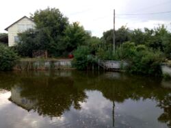 Продам дом на берегу озера. Осокорки. Дарницкий район, 5 км метро Славутич фото 6 Продам дом на берегу озера. Осокорки. Дарницкий район, 5 км метро Славутич фото 6