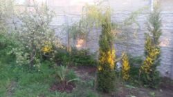 Продаю 2 Этажный Дом Ходосеевка Киев Днепровское Шоссе фото 7 Продаю 2 Этажный Дом Ходосеевка Киев Днепровское Шоссе фото 7