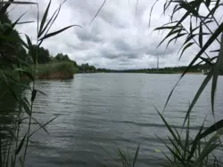 Продаю Дом с Камином Озеро Романков Днепровское шоссе фото 9 Продаю Дом с Камином Озеро Романков Днепровское шоссе фото 9