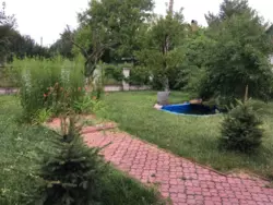 Продаю Дом с Камином Озеро Романков Днепровское шоссе фото 8 Продаю Дом с Камином Озеро Романков Днепровское шоссе фото 8