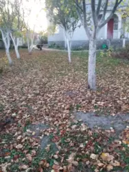 Продаю Будинок з Каміном Пухівка річка Десна Київ Броварський район фото 3 Продаю Будинок з Каміном Пухівка річка Десна Київ Броварський район фото 3