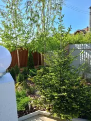 ������ ������� � �������� � ���������. ������, ����, ��������.����� ��. ���� 17