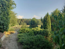 ������ ������� �.��������.60 �����,�������,�����,������� ���� 6