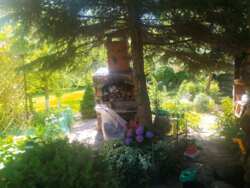 Продам будинок в с.Круглик,12 соток,камін,гараж,сауна,альтанка,сад фото 5 Продам будинок в с.Круглик,12 соток,камін,гараж,сауна,альтанка,сад фото 5