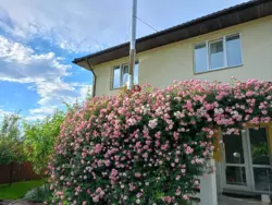 ������ ������� � �������� � ���������. ������, ����, ��������.����� ��. ���� 15