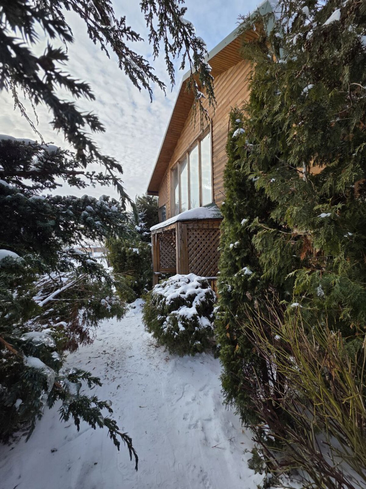 ������ ������� �� ����! ����� �� ������ ��� ����������� �����! ��������� ����! ���� 1